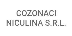 COZONACI NICULINA S.R.L.