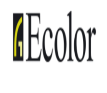 ECOLOR SRL