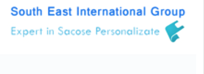 SOUTH EAST INTERNATIONAL GROUP SRL